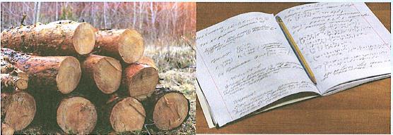 (בספר איור של נוגה ושביט משוחחים)